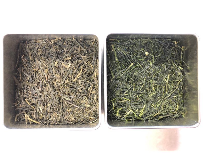 Are Japanese Green Teas High Maintenance?
