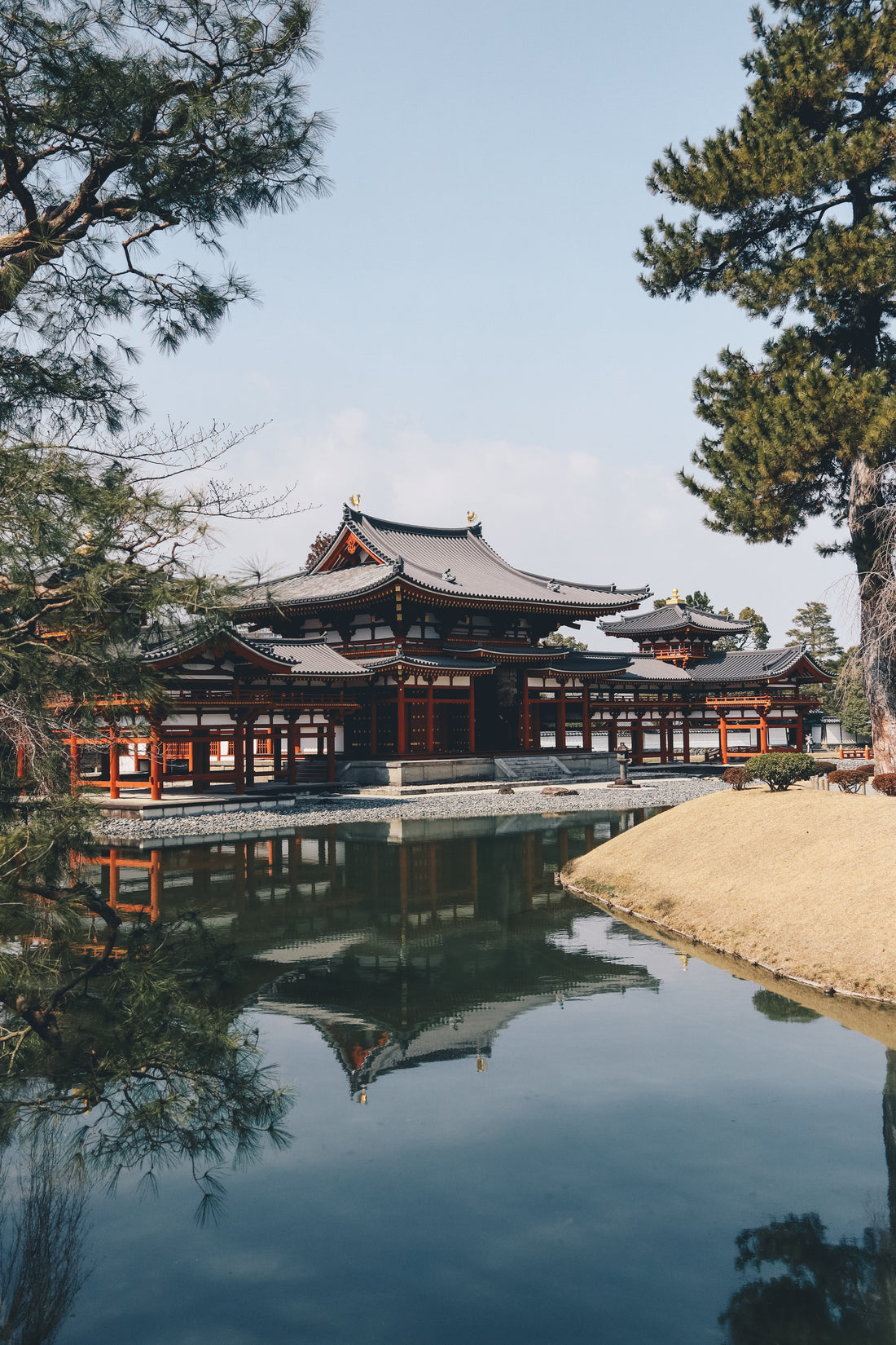 Japanese Shincha (New Tea) Season