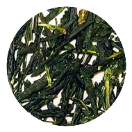 2023 Gyokuro Superior (Japanese Green Tea)
