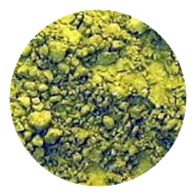 Matcha Superior (Japanese Green Tea)